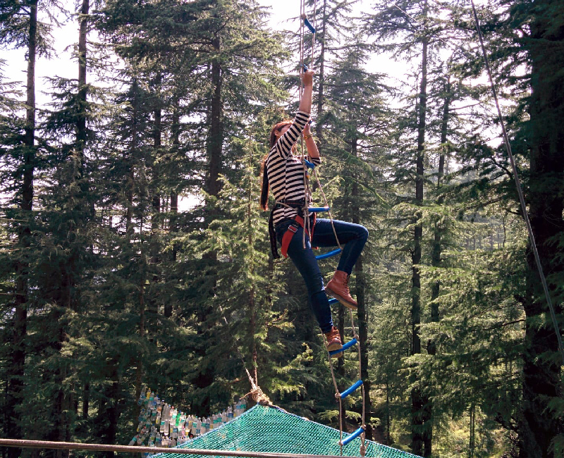 Ladder Climbing & Net Climbing